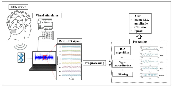 Visual Neuroplasticity: Modulating Cortical Excitability with Flickering Light Stimulation.