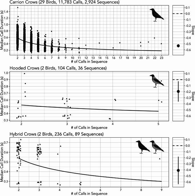 Vocal efficiency in crows