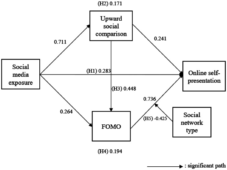 Understanding the psychological drivers of online self-presentation: a survey study on social media exposure, social comparison, social network type and FOMO.