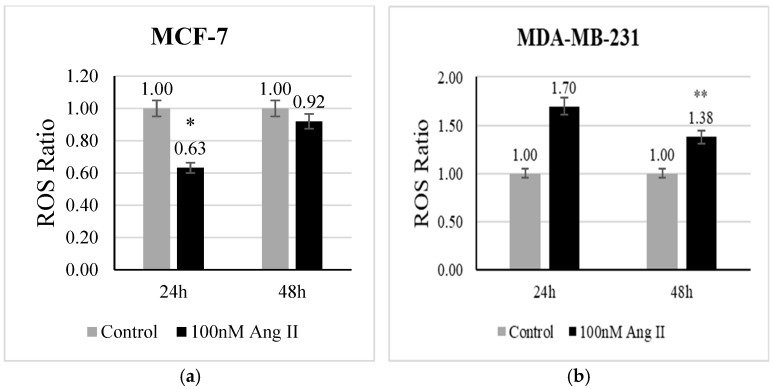 Role of Renin-Angiotensin System and Macrophages in Breast Cancer Microenvironment.