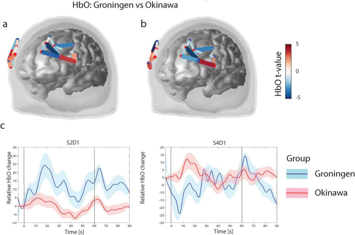 Difference between Okinawan and Dutch older adults in prefrontal brain activation.