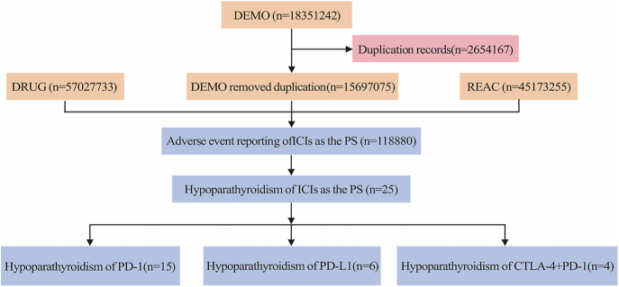 Hypoparathyroidism induced by immune checkpoint inhibitors: a review of literature reports and real-world pharmacovigilance data.