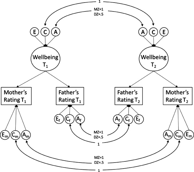 Child Wellbeing during the COVID-19 Pandemic: A Multi-cohort Comparison and a Multi-informant Genetic Study.