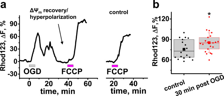 Mechanisms of delayed ischemia/reperfusion evoked ROS generation in the hippocampal CA1 zone of adult mouse brain slices.