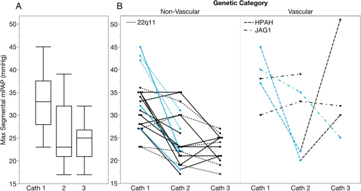 Pharmacologic Management of Segmental Pulmonary Hypertension in Children After Unifocalization and Pulmonary Artery Reconstruction: Initial Experience.