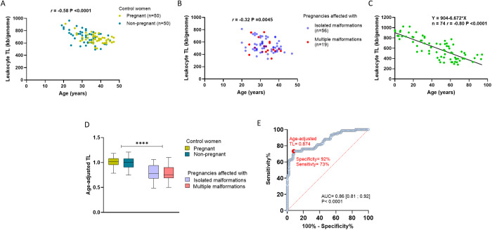 Association between shortened maternal and fetal telomere length and abnormal fetal development.