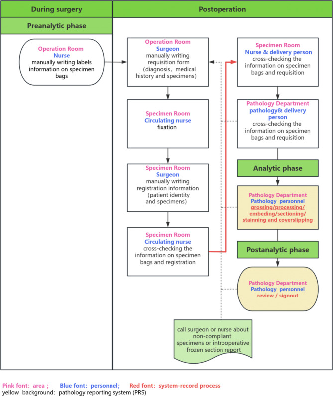 Enhancing preanalytic surgical specimen management: experience of a system implementation initiative.