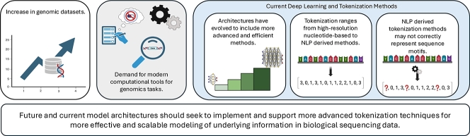 Tokenization and deep learning architectures in genomics: A comprehensive review.