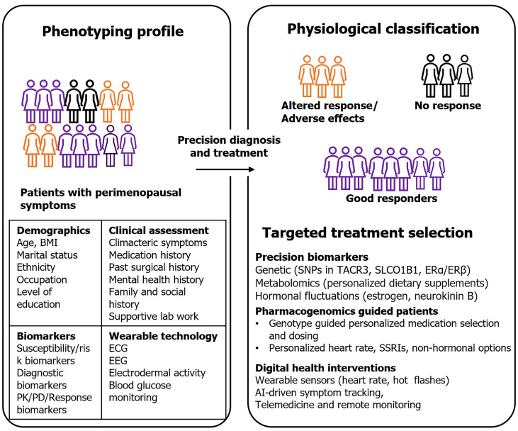 Optimizing perimenopausal mental health by integrating precision biomarkers, digital health interventions, and psychosocial care.