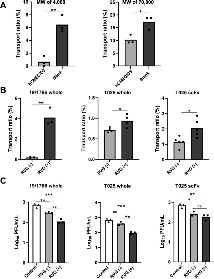 Development of blood-brain barrier-penetrating antibodies for neutralizing tick-borne encephalitis virus in the brain.