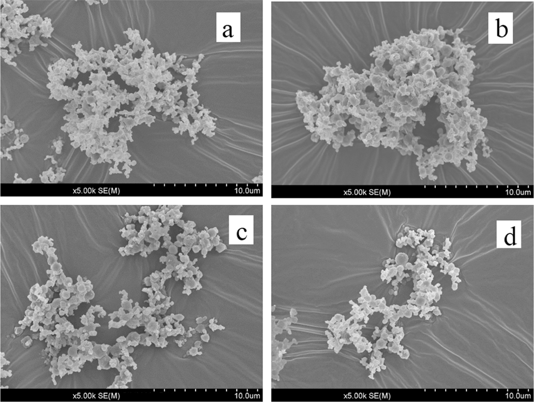 Storage and in-use stability of an excipient enhanced growth (EEG) synthetic lung surfactant powder formulation.