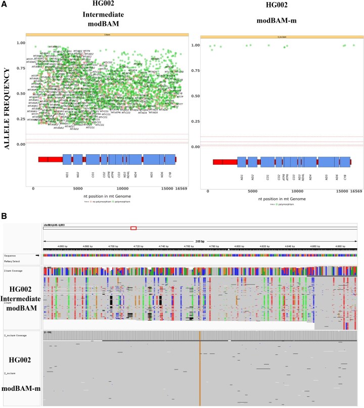 MitSorter: a standalone tool for accurate discrimination of mtDNA and NuMT ONT reads based on differential methylation.