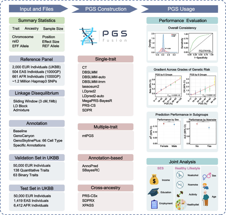 PGSFusion streamlines polygenic score construction and epidemiological applications in biobank-scale cohorts.