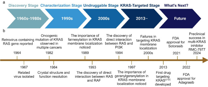 Precision immune regulation in KRAS-mutated cancers: the final piece of the puzzle?