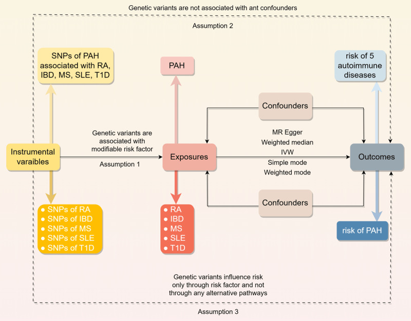 Exploring the Causal Link Between Autoimmune Diseases and Pulmonary Arterial Hypertension: A Bidirectional Mendelian Randomization Study.