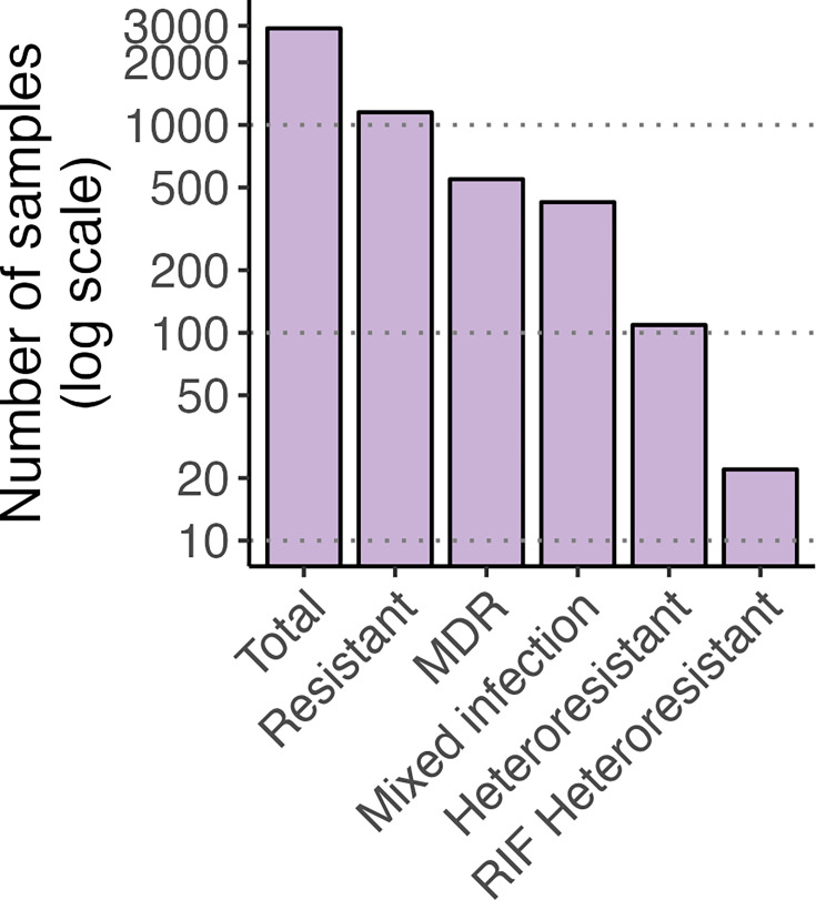 Dissecting rifampicin heteroresistance in <i>Mycobacterium tuberculosis</i>: integrating whole-genome sequencing with phenotypic and clonal validation.
