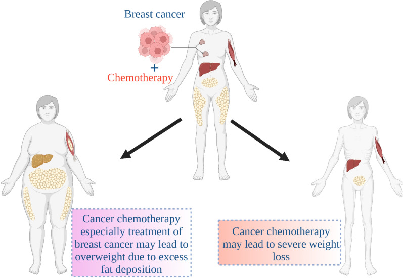 Medicinal plants: nutritional, immunological and therapeutic role in treating cancer-related malnutrition: a comprehensive review.