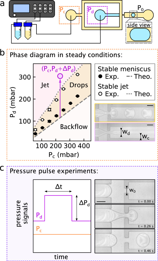 Droplet-on-demand using a positive pressure pulse