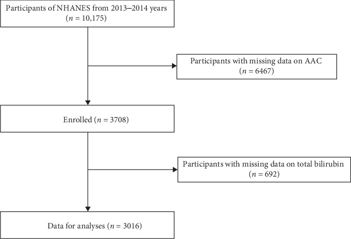 Association of Serum Total Bilirubin Level With Abdominal Aortic Calcification: A Population-Based Cross-Sectional Study.