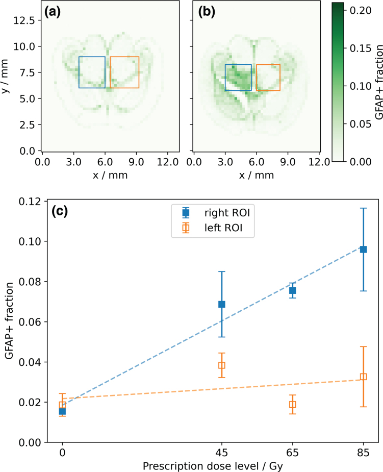 Radiation-induced changes of reactive astrocyte distribution in mice as a late response to partial-brain proton irradiation.