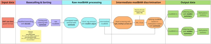 MitSorter: a standalone tool for accurate discrimination of mtDNA and NuMT ONT reads based on differential methylation.