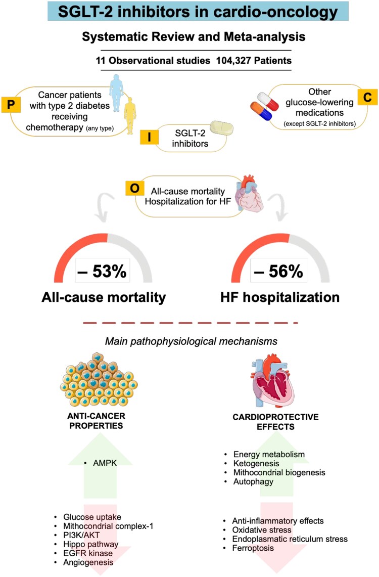 SGLT-2 inhibitors in cancer patients with diabetes: when cardioprotection is key.