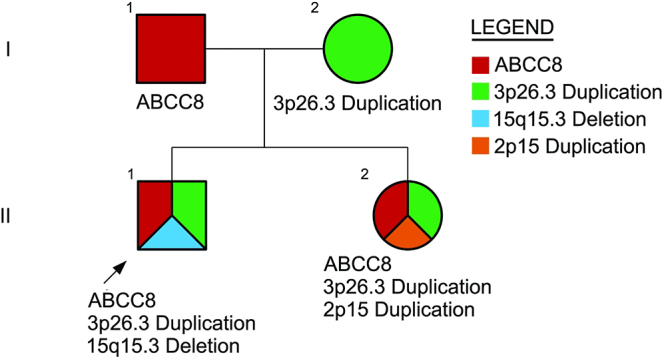 Identification of an ABCC8 variant in a kindred with transient diazoxide responsive hyperinsulinism.