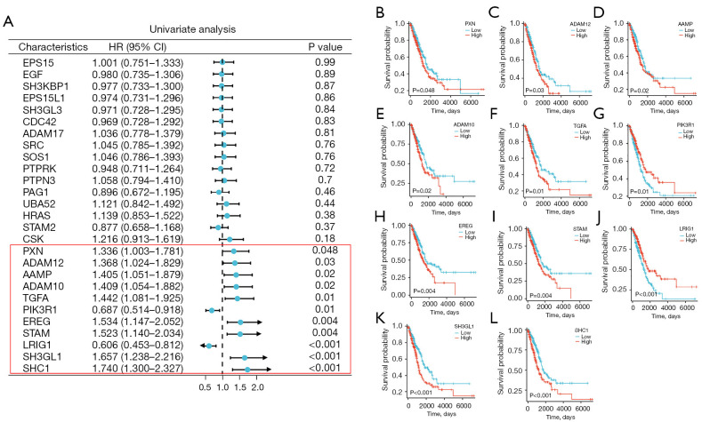 Construction and validation of an EGFR-related risk signature identified <i>SHC1</i> as a prognostic biomarker for lung adenocarcinoma.