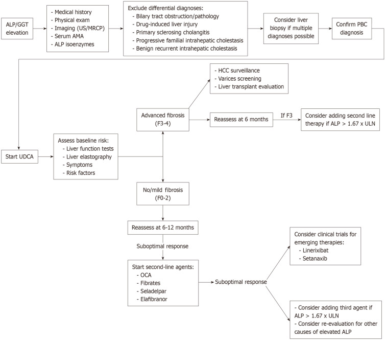 Evolving therapeutic landscape of primary biliary cholangitis: A review.