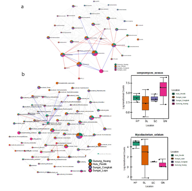 Bacterial communities profiles of soil in Hulu Langat recreational parks, Selangor.