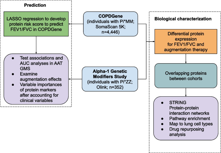 Assessing inflammatory protein biomarkers in COPD subjects with and without alpha-1 antitrypsin deficiency.