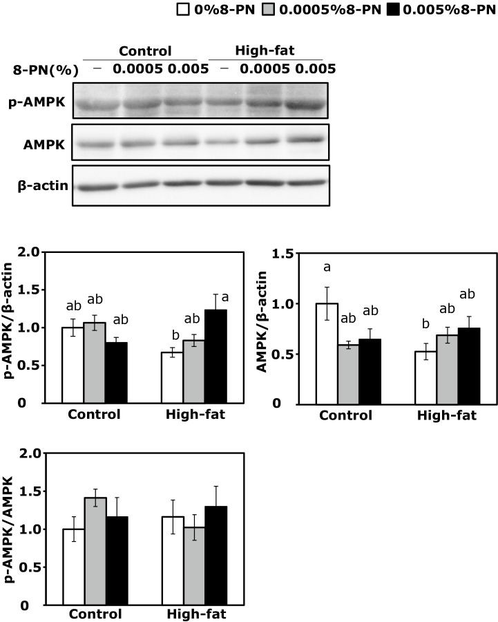8-Prenylnaringenin suppresses obesity in high-fat diet-fed C57BL/6J mice via adiponectin secretion.