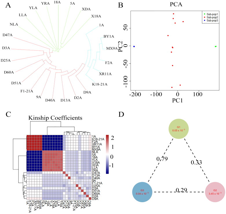 Aeronautical Mutagenesis and Whole-genome Resequencing Reveal the Genetic Basis of Color Change in <i>Naematelia aurantialba</i>.