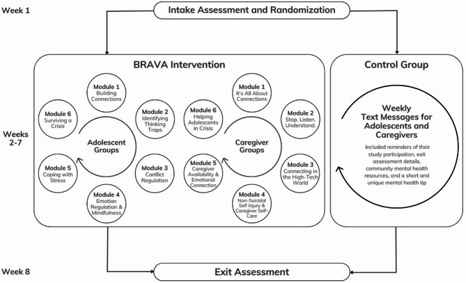 BRAVA: A randomized controlled trial of a brief group intervention for youth with suicidal ideation and their caregivers.