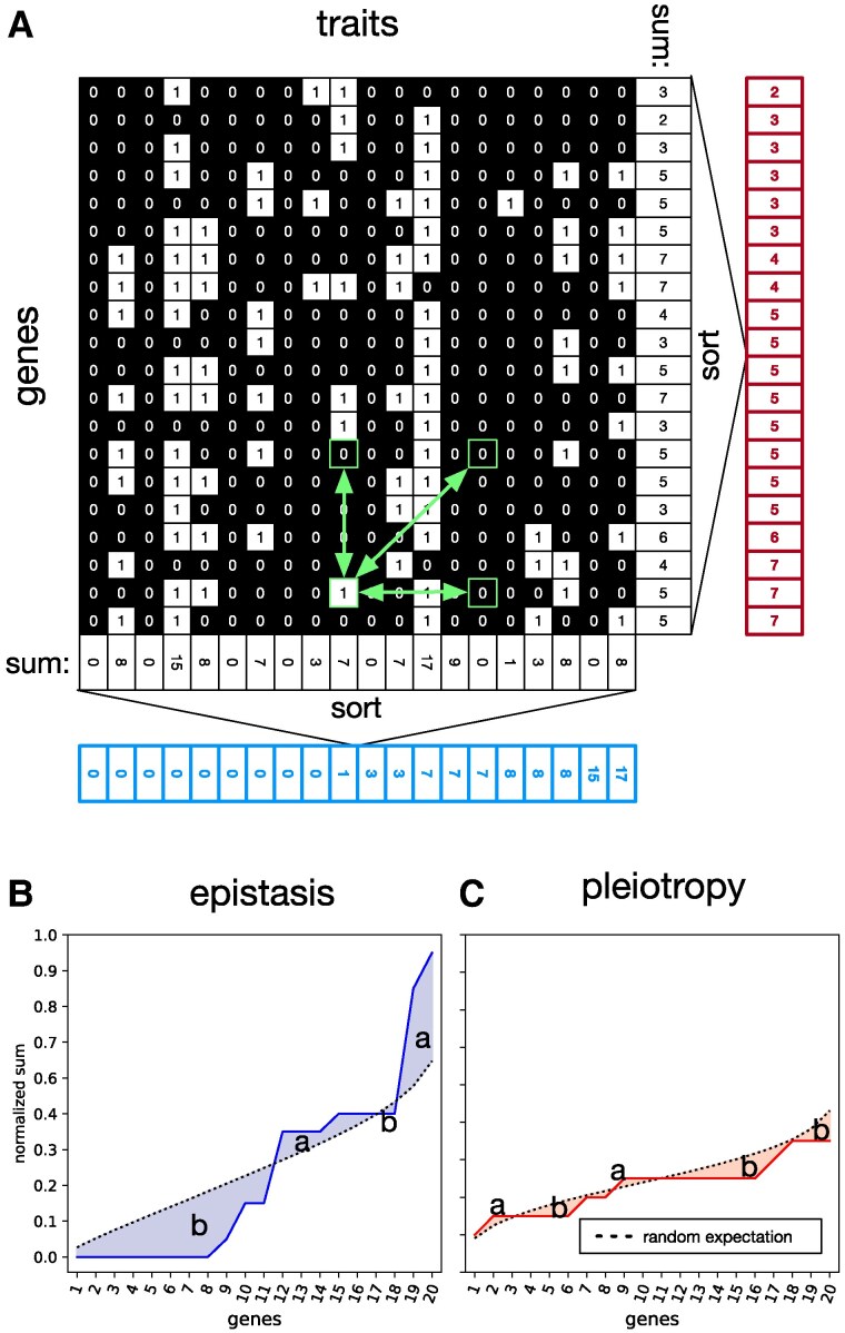 From valleys to peaks: The role of evolvability in fitness landscape navigation.