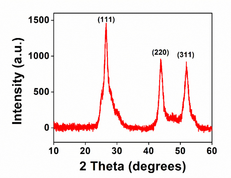 Photocatalytic oxidation of tyrosine using colloidal CdS particles under visible light irradiation.