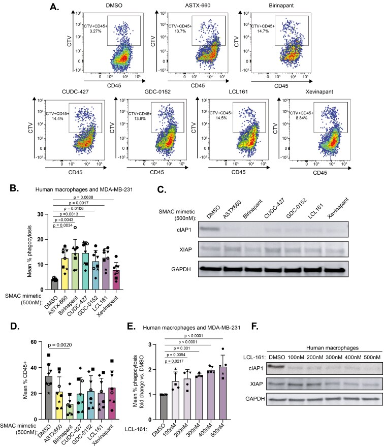 SMAC mimetics induce human macrophages to phagocytose live cancer cells.