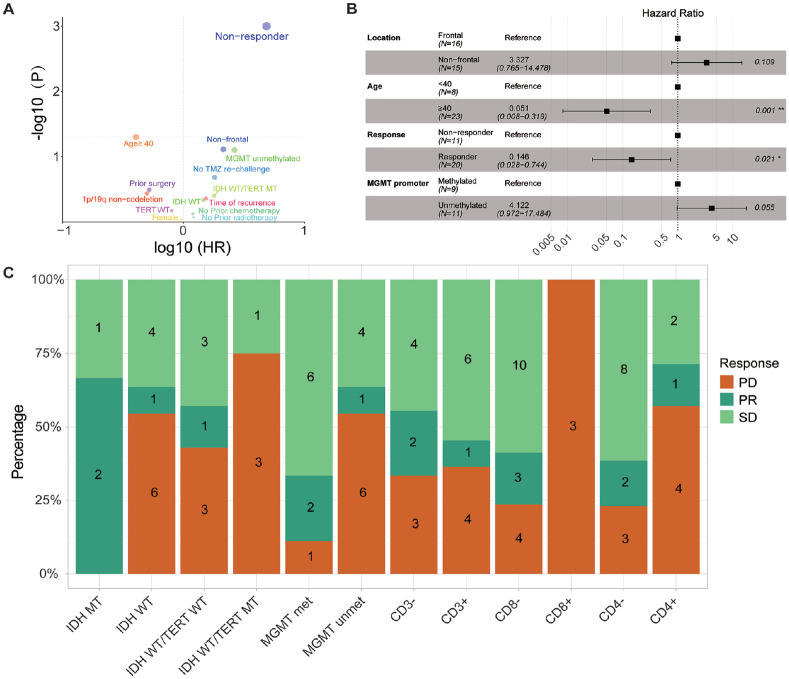 Cisplatin and Alternating Temozolomide in Recurrent High-Grade Gliomas: Efficacy and the Role of Tumor-Infiltrating Lymphocytes in a Phase II Clinical Trial.
