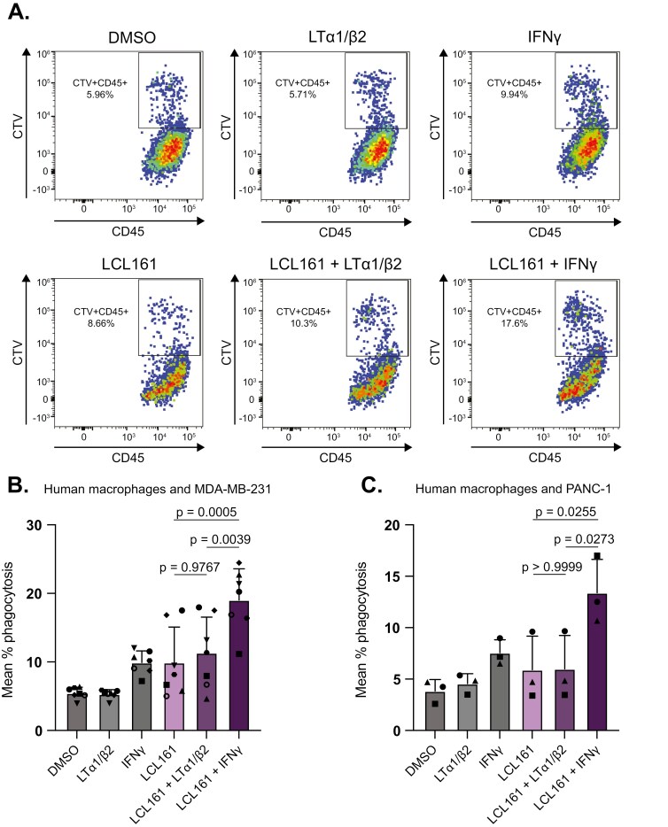 SMAC mimetics induce human macrophages to phagocytose live cancer cells.