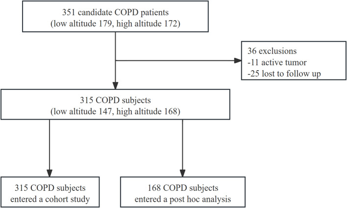 Association of altitude and eosinophil with the one-year mortality of acute exacerbation of chronic obstructive pulmonary disease: a cohort study.