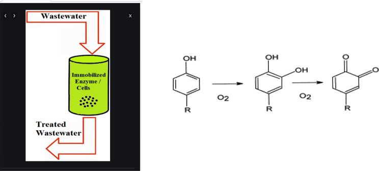 Review of research progress in immobilization and chemical modification of microbial enzymes and their application.
