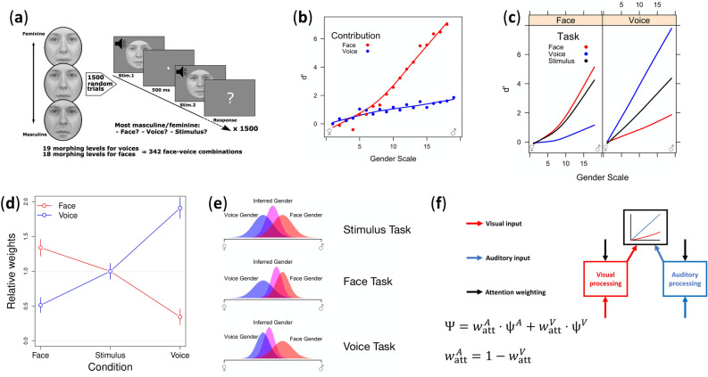 Directed attention influences optimality of top-down and bottom-up multi-modal perceptual integration.