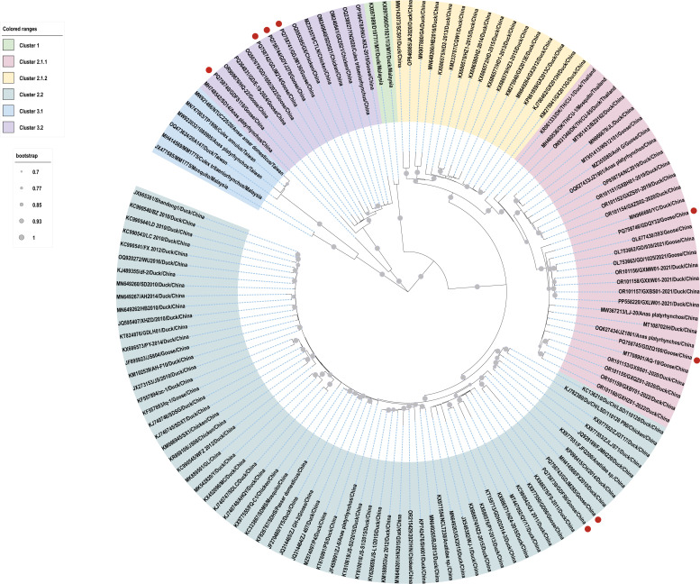 Research note: Epidemiology and genotypic diversity of duck tembusu virus in geese in Partial Areas of Guangdong Province, Southern China.