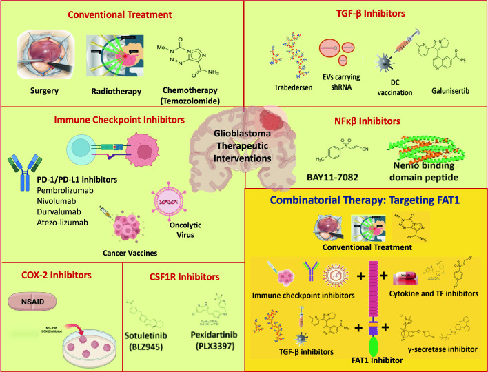Immune factors and their role in tumor aggressiveness in glioblastoma: Atypical cadherin FAT1 as a promising target for combating immune evasion.