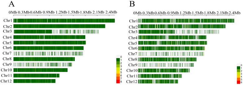 Aeronautical Mutagenesis and Whole-genome Resequencing Reveal the Genetic Basis of Color Change in <i>Naematelia aurantialba</i>.