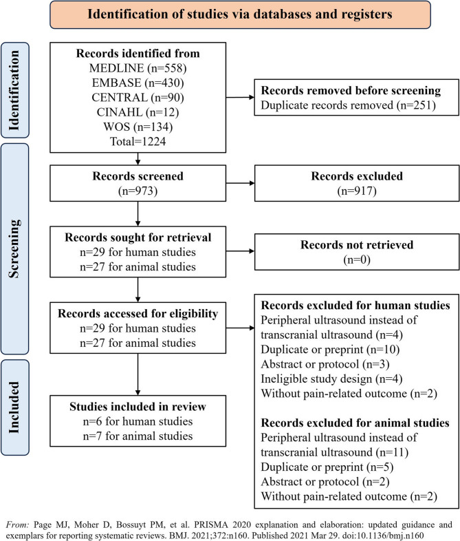 The efficacy and mechanisms of low-intensity transcranial ultrasound stimulation on pain: a systematic review of human and animal studies.
