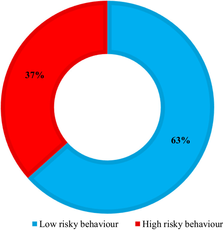 Health Risk Behaviors and Associated Factors Among Hajj 2024 Pilgrims: A Multinational Cross-Sectional Study.