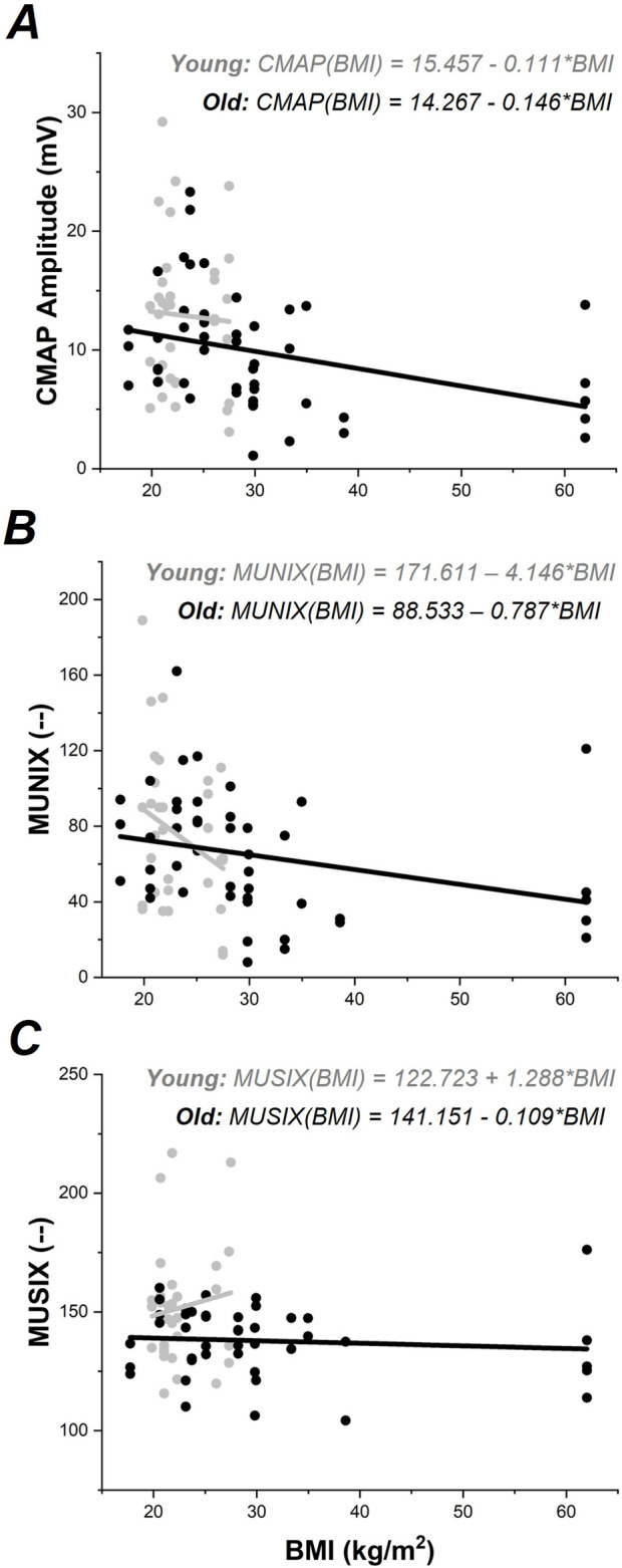 Impact of aging and body mass index on upper extremity motor unit number index and size.