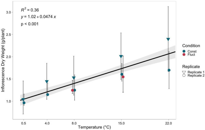 Anthocyanin accumulation, inflorescence dry weight and total cannabidiol content have different temperature optima in Cannabis sativa.