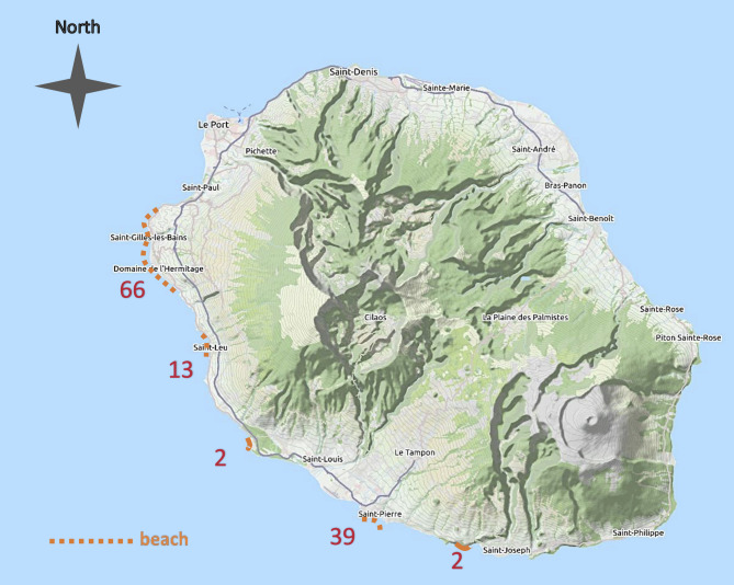Suspected stonefish (Synanceia verrucosa) envenomation on Reunion Island.